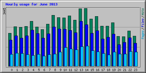 Hourly usage for June 2013