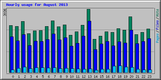 Hourly usage for August 2013