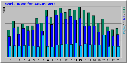 Hourly usage for January 2014