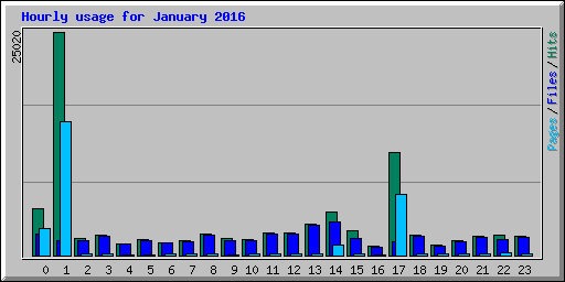 Hourly usage for January 2016